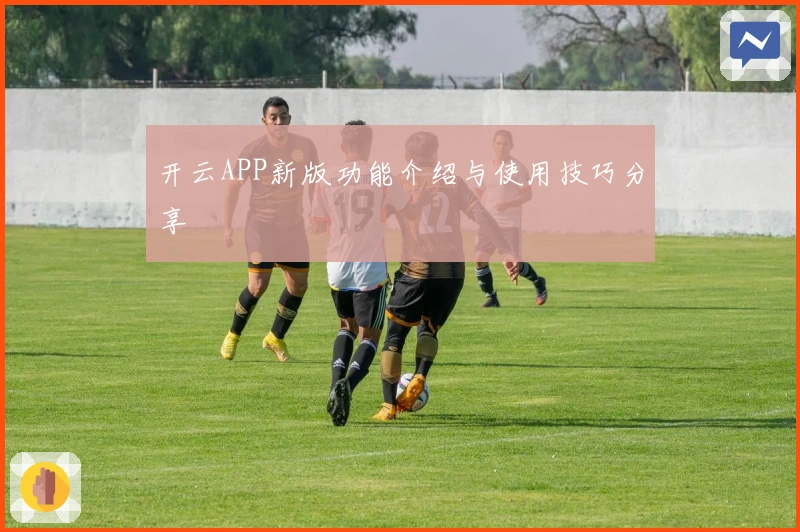 开云APP新版功能介绍与使用技巧分享