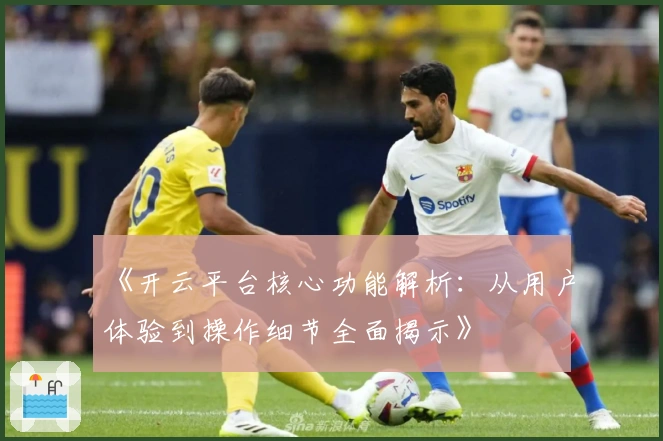 《开云平台核心功能解析：从用户体验到操作细节全面揭示》